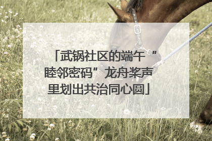 武锅社区的端午“睦邻密码”龙舟桨声里划出共治同心圆