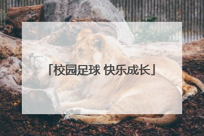 校园足球 快乐成长