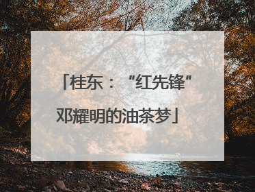 桂东：“红先锋”邓耀明的油茶梦