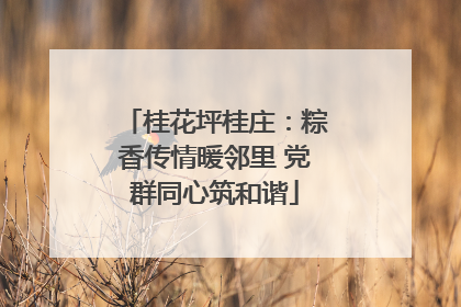 桂花坪桂庄：粽香传情暖邻里 党群同心筑和谐
