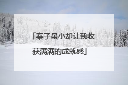 案子虽小却让我收获满满的成就感