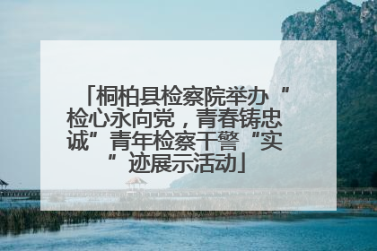 桐柏县检察院举办“检心永向党，青春铸忠诚”青年检察干警“实”迹展示活动