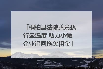 桐柏县法院善意执行显温度 助力小微企业追回拖欠租金