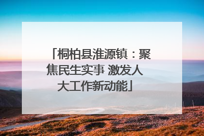 桐柏县淮源镇：聚焦民生实事 激发人大工作新动能