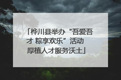 桦川县举办“吾爱吾才 粽享欢乐”活动 厚植人才服务沃土