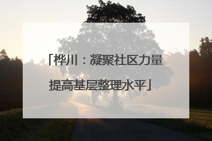 桦川：凝聚社区力量 提高基层整理水平