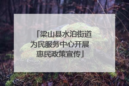 梁山县水泊街道为民服务中心开展惠民政策宣传