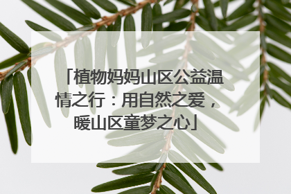 植物妈妈山区公益温情之行：用自然之爱，暖山区童梦之心