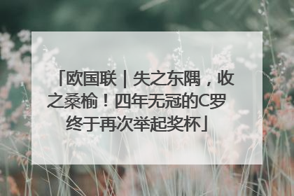 欧国联｜失之东隅，收之桑榆！四年无冠的C罗终于再次举起奖杯