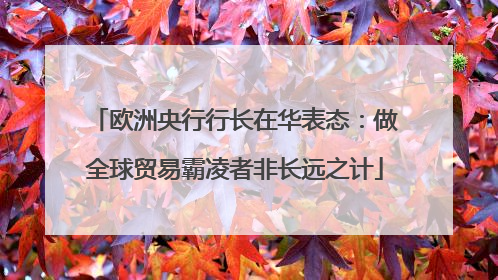 欧洲央行行长在华表态：做全球贸易霸凌者非长远之计