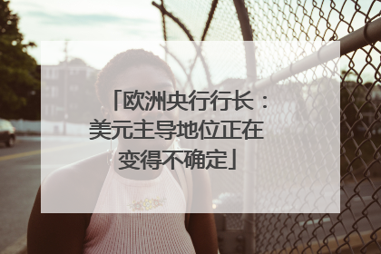 欧洲央行行长：美元主导地位正在变得不确定