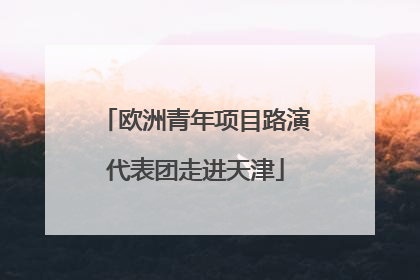 欧洲青年项目路演代表团走进天津