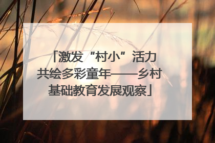 激发“村小”活力 共绘多彩童年——乡村基础教育发展观察