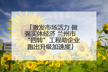 激发市场活力 做强实体经济 兰州市“四转”工程助企业跑出升级加速度