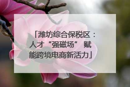 潍坊综合保税区：人才“强磁场” 赋能跨境电商新活力