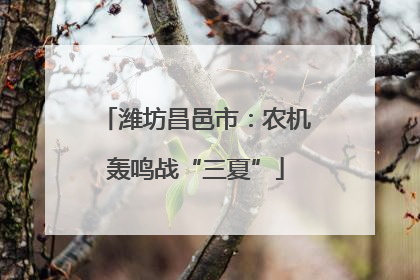 潍坊昌邑市：农机轰鸣战“三夏”