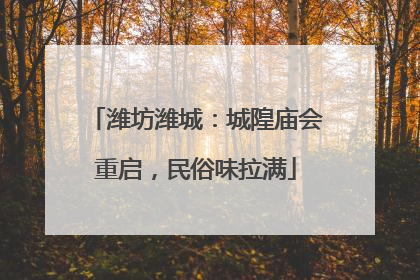 潍坊潍城：城隍庙会重启，民俗味拉满