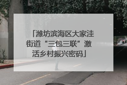 潍坊滨海区大家洼街道“三包三联”激活乡村振兴密码
