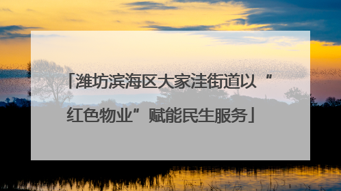 潍坊滨海区大家洼街道以“红色物业”赋能民生服务