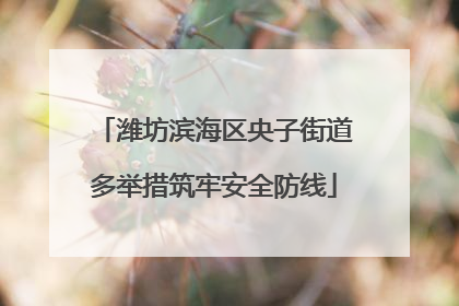 潍坊滨海区央子街道多举措筑牢安全防线