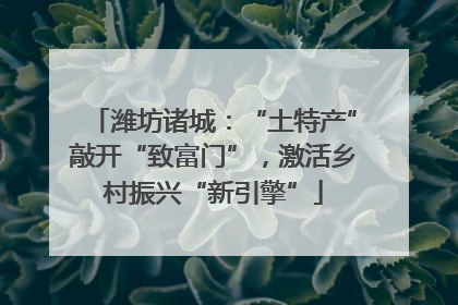 潍坊诸城：“土特产”敲开“致富门”，激活乡村振兴“新引擎”