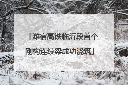 潍宿高铁临沂段首个刚构连续梁成功浇筑