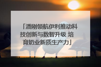 潘刚领航伊利推动科技创新与数智升级 培育奶业新质生产力