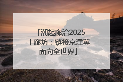 潮起廊洽2025丨廊坊：链接京津冀 面向全世界