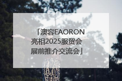 澳容EAORON亮相2025服贸会展前推介交流会