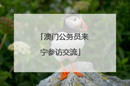 澳门公务员来宁参访交流