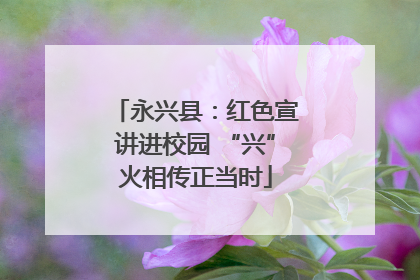 永兴县：红色宣讲进校园 “兴”火相传正当时