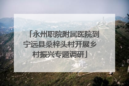 永州职院附属医院到宁远县桑梓头村开展乡村振兴专题调研