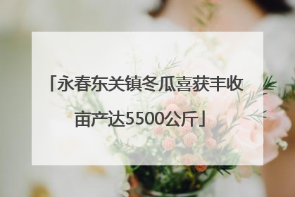 永春东关镇冬瓜喜获丰收 亩产达5500公斤