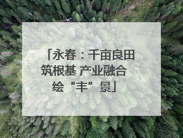 永春：千亩良田筑根基 产业融合绘“丰”景