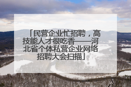民营企业忙招聘，高技能人才很吃香——河北省个体私营企业网络招聘大会扫描