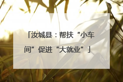 汝城县：帮扶“小车间”促进“大就业”