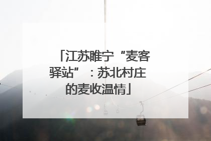 江苏睢宁“麦客驿站”：苏北村庄的麦收温情