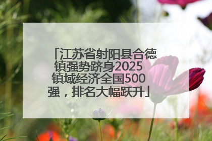 江苏省射阳县合德镇强势跻身2025镇域经济全国500强，排名大幅跃升