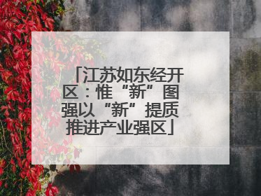 江苏如东经开区：惟“新”图强以“新”提质推进产业强区