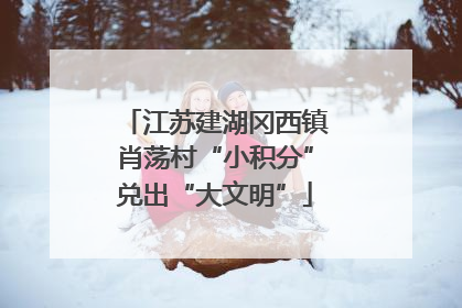 江苏建湖冈西镇肖荡村“小积分”兑出“大文明”
