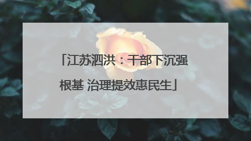 江苏泗洪：干部下沉强根基 治理提效惠民生