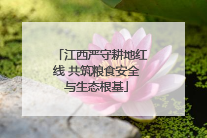江西严守耕地红线 共筑粮食安全与生态根基