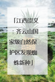 江西崇义：齐云山国家级自然保护区发现蜘蛛新种