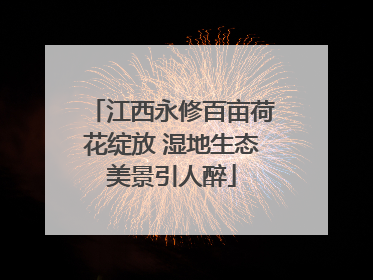 江西永修百亩荷花绽放 湿地生态美景引人醉
