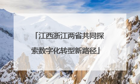 江西浙江两省共同探索数字化转型新路径