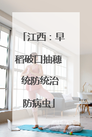 江西：早稻破口抽穗 统防统治防病虫
