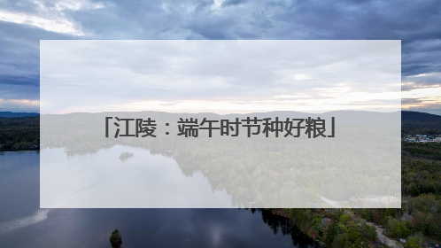 江陵：端午时节种好粮