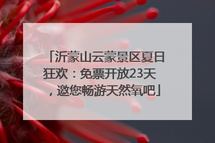 沂蒙山云蒙景区夏日狂欢：免票开放23天，邀您畅游天然氧吧