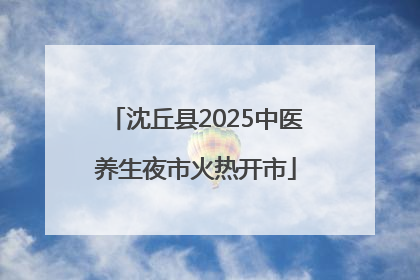 沈丘县2025中医养生夜市火热开市