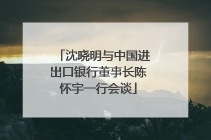 沈晓明与中国进出口银行董事长陈怀宇一行会谈